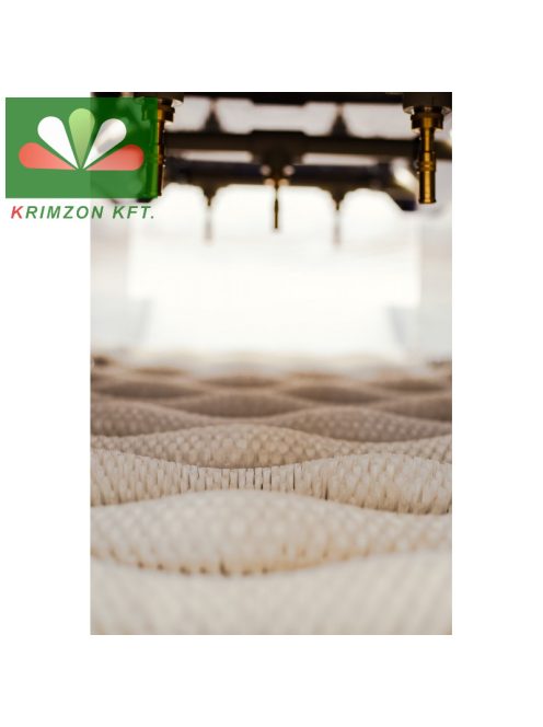 SPM 15.120 gép gyökérgumós zöldségek mosására és tisztítására szolgál