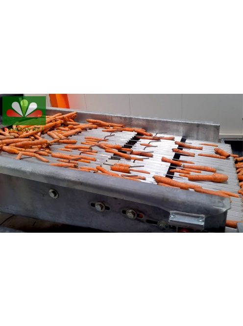 WM-1200 válogatógépet hosszúkás alakú zöldségek (sárgarépa, petrezselyemgyökér stb.) 